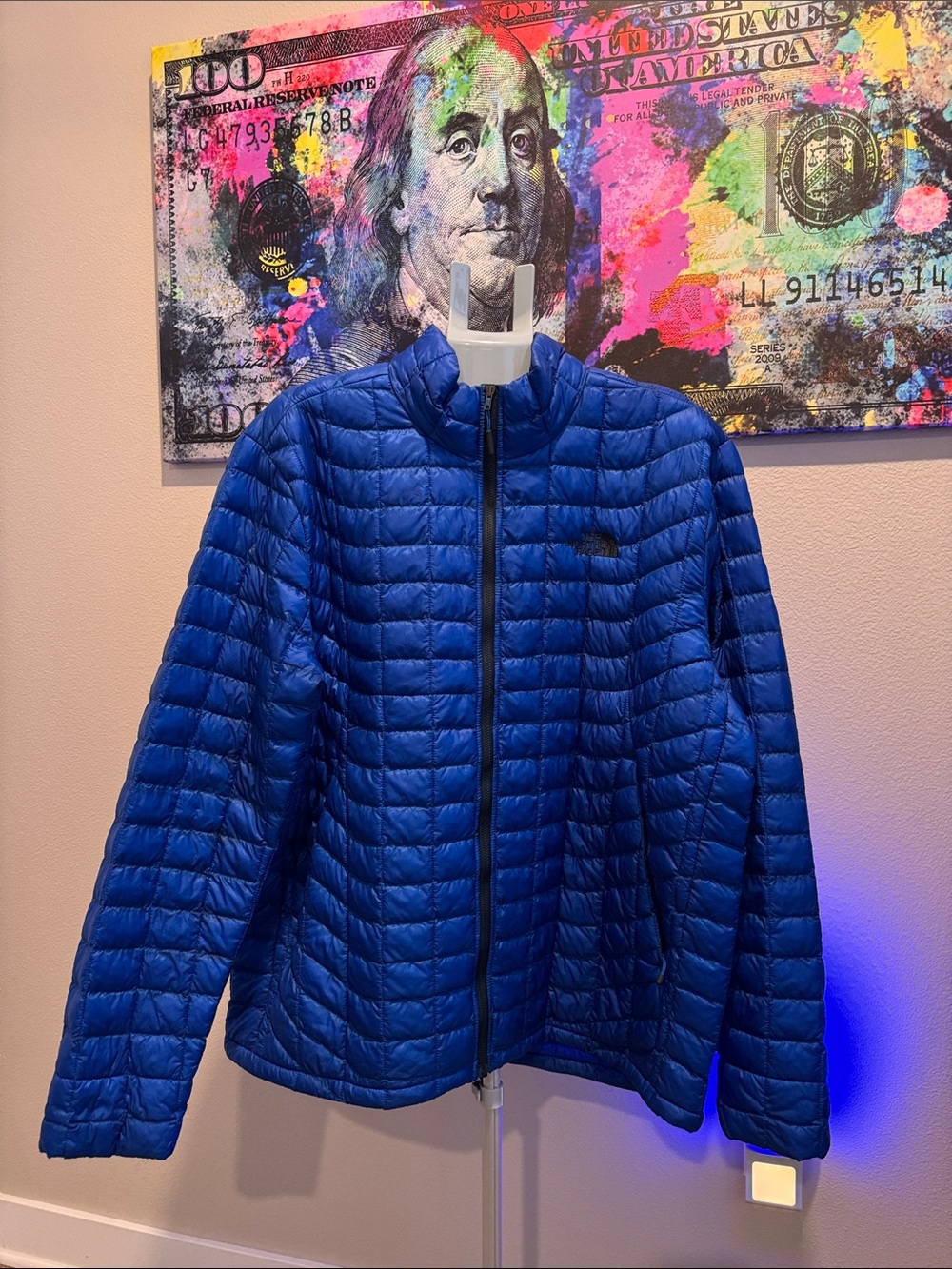 The North Face Blue Quilted Lightweight Puffer Jacket